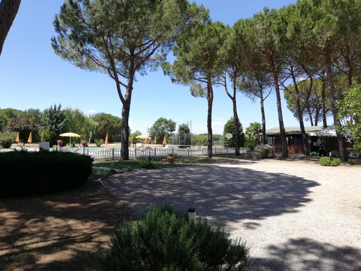 Boschetto del Lago Castiglione del Lago Esterno foto