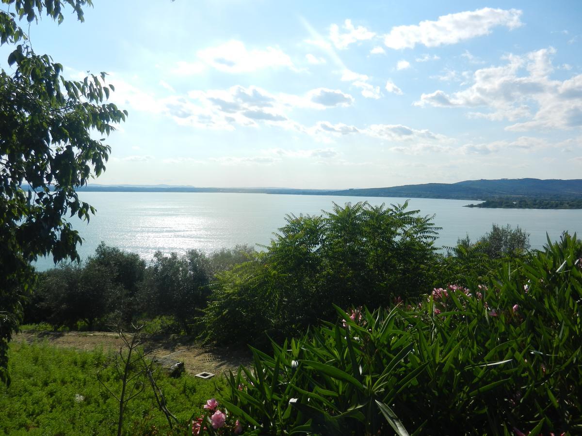 Boschetto del Lago Castiglione del Lago Esterno foto