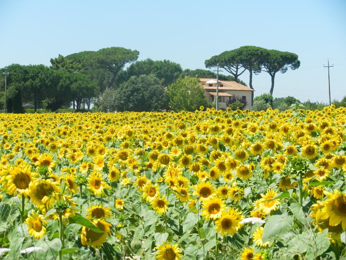 Boschetto del Lago Castiglione del Lago Esterno foto
